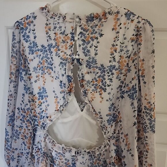 Floral Sheer Ruffle Mini Dress - Picture 5 of 6